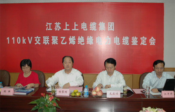 ��ʱ������ҳ��¼���ѹ110kV��������ϩ��Ե�������²�Ʒͨ���ж�