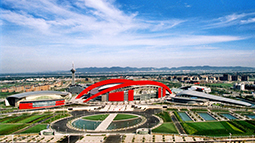 �Ͼ���¹���