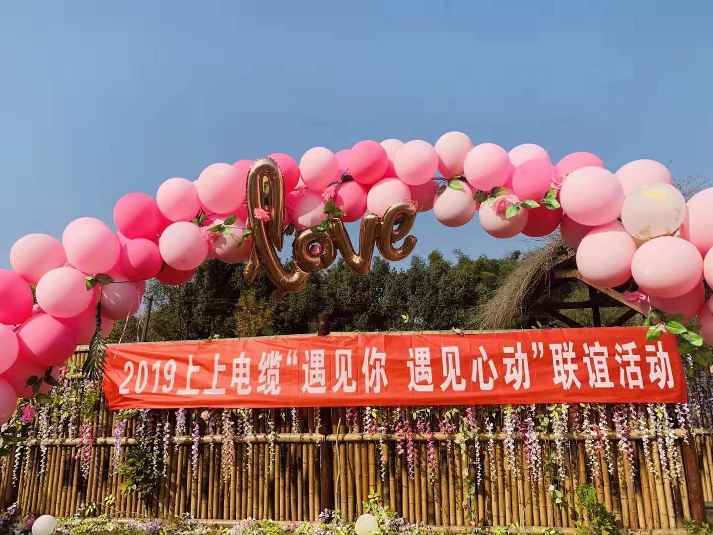 ������?�����Ķ�������ʱ������ҳ��¼�����ֳɾ���2019��ֻ����������