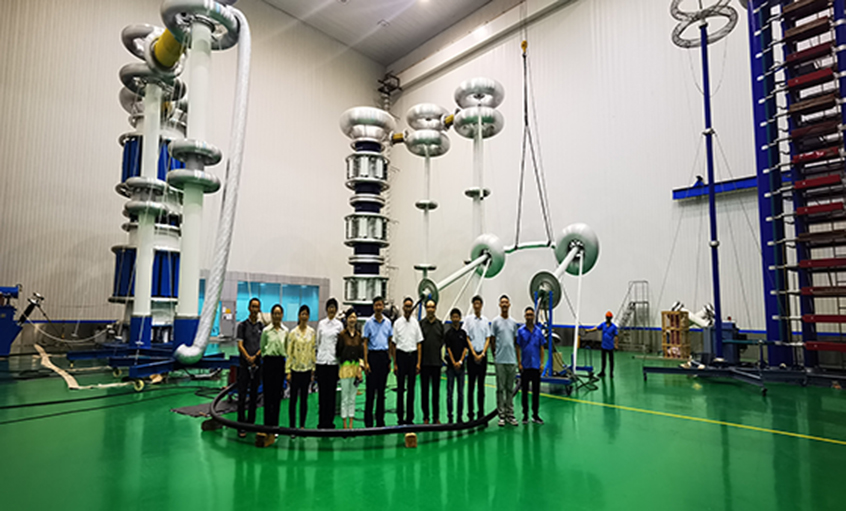 ��������110kV�۱�ϩ��Ե���������ڿ�ʱ������ҳ��¼����ͨ����֤����