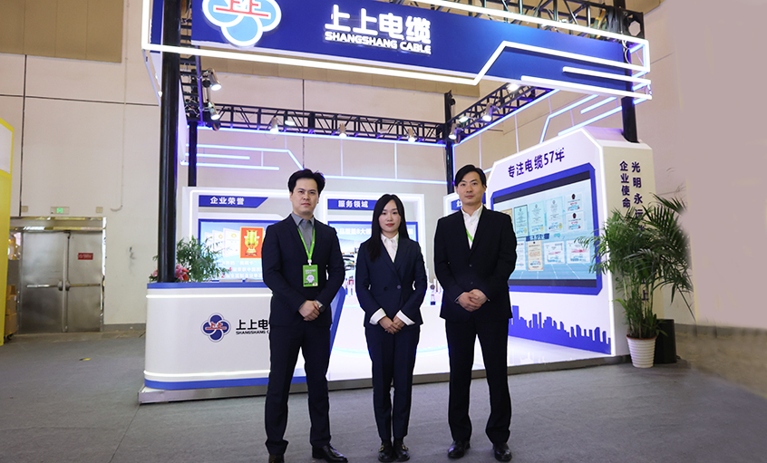 ��ʱ������ҳ��¼��������2024�й�����Ʒ�ƣ����ݣ�չ����