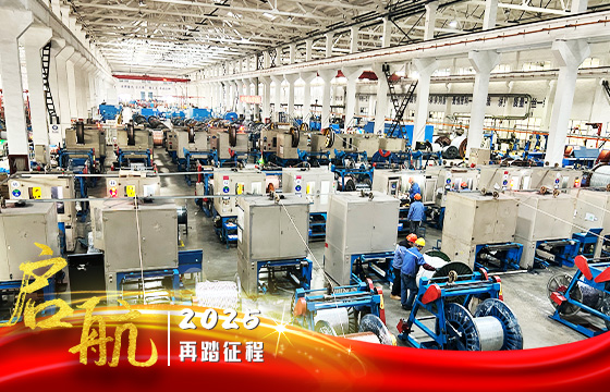 1738746861891104tMHS.jpg 控缆.jpg