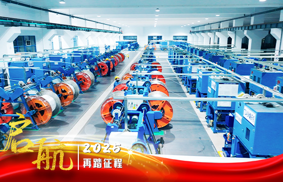 1738746885306458tLVb.jpg 电.jpg